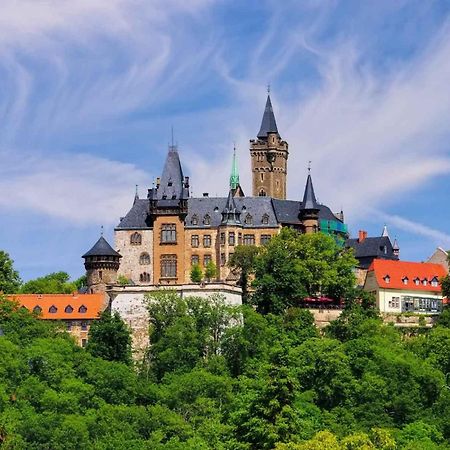 Ferienhaus Wernigerode "Am Schlossbuehel" 5 Schlafzimmer Eksteriør bilde