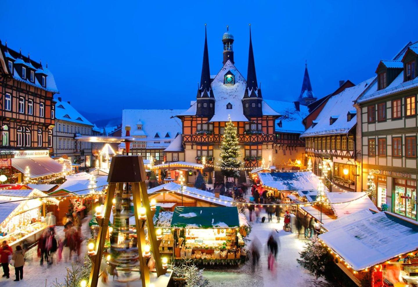 Ferienhaus Wernigerode "Am Schlossbuehel" 5 Schlafzimmer Eksteriør bilde